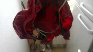 ohja Mikrowelle leistet gute Arbeit, ich hab die dann weiter behandelt
