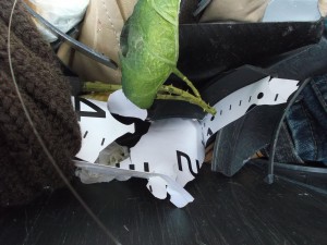 Die Uhr hat sich in ihre Einzelteile völlig zerlegt.