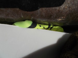 Detailaufnahme von der &quot;Entsorgung&quot; neuwertiger geiler Laufschuhe.