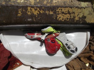 Müll0913 126.jpg (310.9 KiB) 5666 mal betrachtet Fest im Griff des Pressschildes!