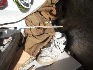 Müll0913 127.jpg (265.5 KiB) 5666 mal betrachtet Zuerst hemmungslos verlatscht und verschwitzt, dann ausrangiert, weggeschmissen und vom Pressmüllabfuhrauto zermalmt. So enden selbst geile Modelle wie die AF1. Also alles "ganz normal".