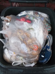 Müll1013 152.jpg (296.39 KiB) 6763 mal betrachtet Kein Spaß, die Mülltonne in einer kurzen Regenpause zu plündern.