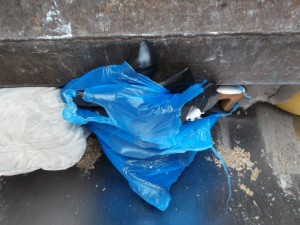 Diesen Teil der &quot;exorbitanten&quot; Schuhsammlung des Rasseweibes hatte das Pressschild nun &quot;voll im Griff&quot;!
