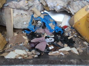 Fieberhaft überlegte ich, was ich nun tun sollte. Ich kam auf eine geile Idee und holte den ganzen gepressten Müllschuhdreck aus der Müllschüttung.