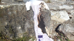 vlcsnap-2013-10-24-14h59m08s64.png (1.94 MiB) 10848 mal betrachtet Die Flammen breiten sich aus