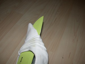 DSCN5300.JPG