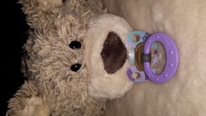 20131206_162742.jpg (821.96 KiB) 7440 mal betrachtet Er wartet