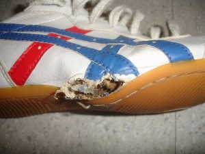 0DSC07239.jpg (208.13 KiB) 2849 mal betrachtet Das Ergebnis der Behandlung: der Schuh brennt von innen nach außen. Dabei ist diese Seite die Schwachstelle, die als erstes "verbrennt".