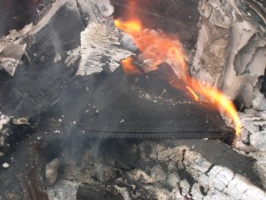 DSCN4652.JPG