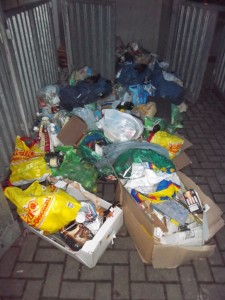 Müll0214 059.jpg (303.36 KiB) 10062 mal betrachtet Was für ein Haufen stinkender siffiger Dreck da liegt!