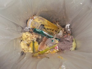 Müll0214 065.jpg (264.12 KiB) 4582 mal betrachtet Einfach nur: Igitt!!!