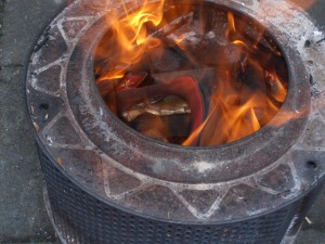 P3010045.JPG