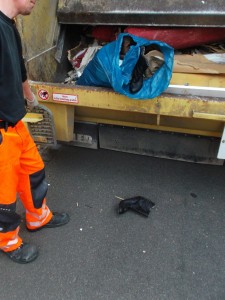 Eine einzige Stiefelette fiel doch tatsächlich aus der Müllschüttung und genau jene konnte ich später nicht mehr finden. Wo die wohl abgeblieben ist??