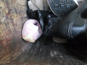 Müll0214 147.jpg (509.28 KiB) 4463 mal betrachtet Süße weiche pink-weiße Pumas rutschten in der Müllschüttung ihrem Ende entgegen.