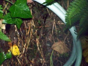 100_5202.jpg
