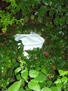 100_5196.jpg