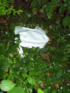 100_5194.jpg