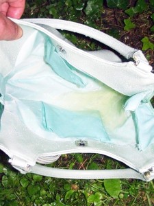 100_5193.jpg