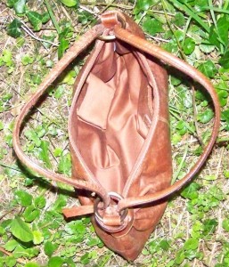 100_5260a.jpg