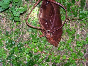 100_5263a.jpg