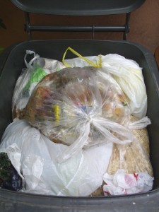 Marina07 047.jpg (375.03 KiB) 8229 mal betrachtet Darunter und darin liegt ganz "normaler" Hausmüll.