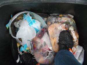 Müll0214 257.jpg (489.45 KiB) 5220 mal betrachtet "Ende Gelände"