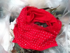 Neben dem rosa Oberteil-Lumpen lag das verleierte rote Höschen.