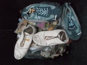 Diese Pumas hatten weitaus mehr Glück gehabt!