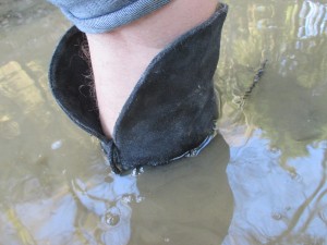 IMG_0076.JPG