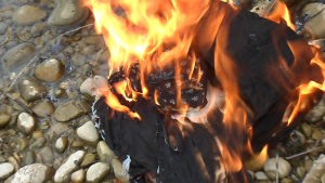 vlcsnap-2014-03-31-17h30m27s35.png (1.85 MiB) 9404 mal betrachtet Interressant wie lange das Muster zu sehen ist