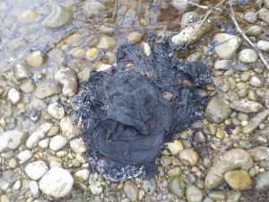 Unbenannt4.jpg (849.41 KiB) 9404 mal betrachtet Nur noch ein Häufchen Elend