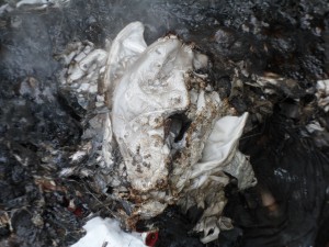 BRKL6.jpg (501.2 KiB) 5712 mal betrachtet Hier eine Nahaufnahme