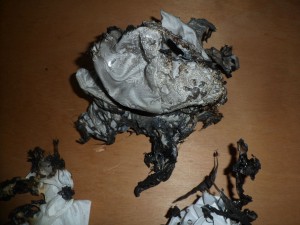 BRKL8.jpg (524.4 KiB) 5712 mal betrachtet Hier die Reste vom Brustteil