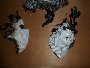 BRKL9.jpg (469.37 KiB) 5723 mal betrachtet Links ein Stück vom Rock, rechts eine Blume die das Glück hatte rechtzeitig sich zu lösen