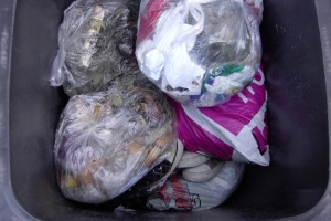 Jessica01 021.jpg (185.17 KiB) 7384 mal betrachtet Die Mülltonne war schon dabei, die "Vernichtungsschlacht" zu gewinnen ... .