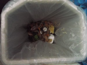 Neuer Müllbeutel. Mal sehen was der uns bieten wird?!