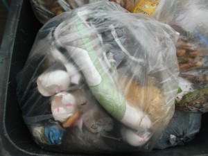 Müll0414 050.jpg (442.29 KiB) 6030 mal betrachtet Jessicas süße Pumas lagen auch schon knapp eine Woche im Hausmüll.