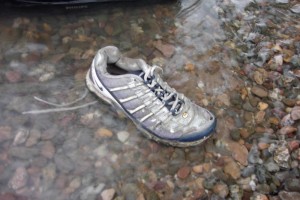 Josef02 015.jpg (256.58 KiB) 4713 mal betrachtet Ob der andere Nike-Schuh schon in der Nordsee dümpelt?