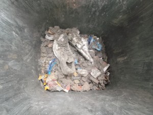 Müll0414 098.jpg (486.76 KiB) 3289 mal betrachtet Ich hätte sie am liebsten geschlagen, als die Mutter ihren Staubsaugerdreck in die Mülltonne geleert hat.