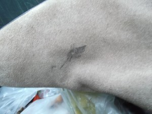 Vermutlich hat dieser lächerlich kleine Fleck das Ende dieser nicht alltäglichen Stiefel bedeutet?! Den mache ich bei Gelegenheit weg. Sollte kein Problem sein.
