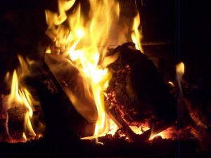 100_6746.JPG (132.26 KiB) 3863 mal betrachtet Feuriges Duett