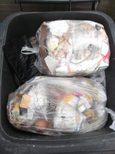 Müll0514 004.jpg (553.42 KiB) 5217 mal betrachtet Nur ganz gewöhnlicher Restmüll - und niemand wird widersprechen.