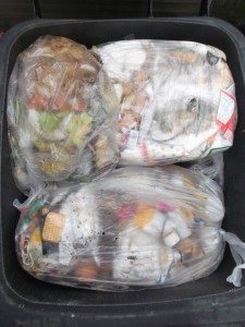 Müll0514 005.jpg (572.71 KiB) 5355 mal betrachtet Im Müll versunken und bald von allen vergessen und von niemandem vermisst!