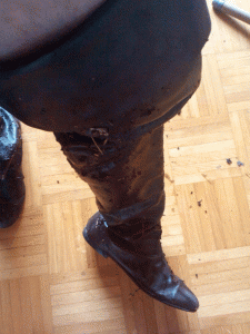 P_20140601_131054.gif