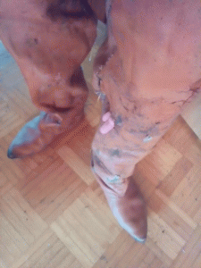 P_20140612_194212.gif