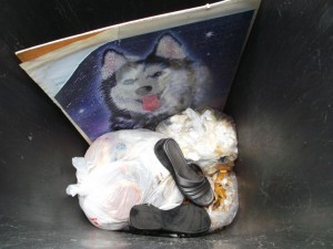 Gestern nach dem Spaziergang kamen die ollen Schuhe gleich in die Tonne.