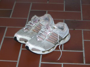 Climacool1.jpg