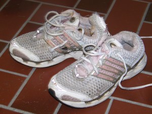 Climacool3.jpg