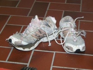 Climacool4.jpg