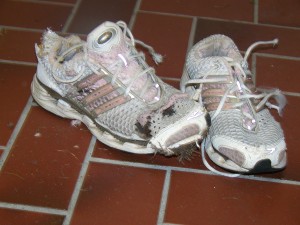 Climacool5.jpg